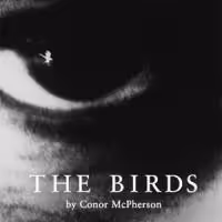 THE BIRDS Runs At The Gate Theatre In Dublin, Opened 9/29